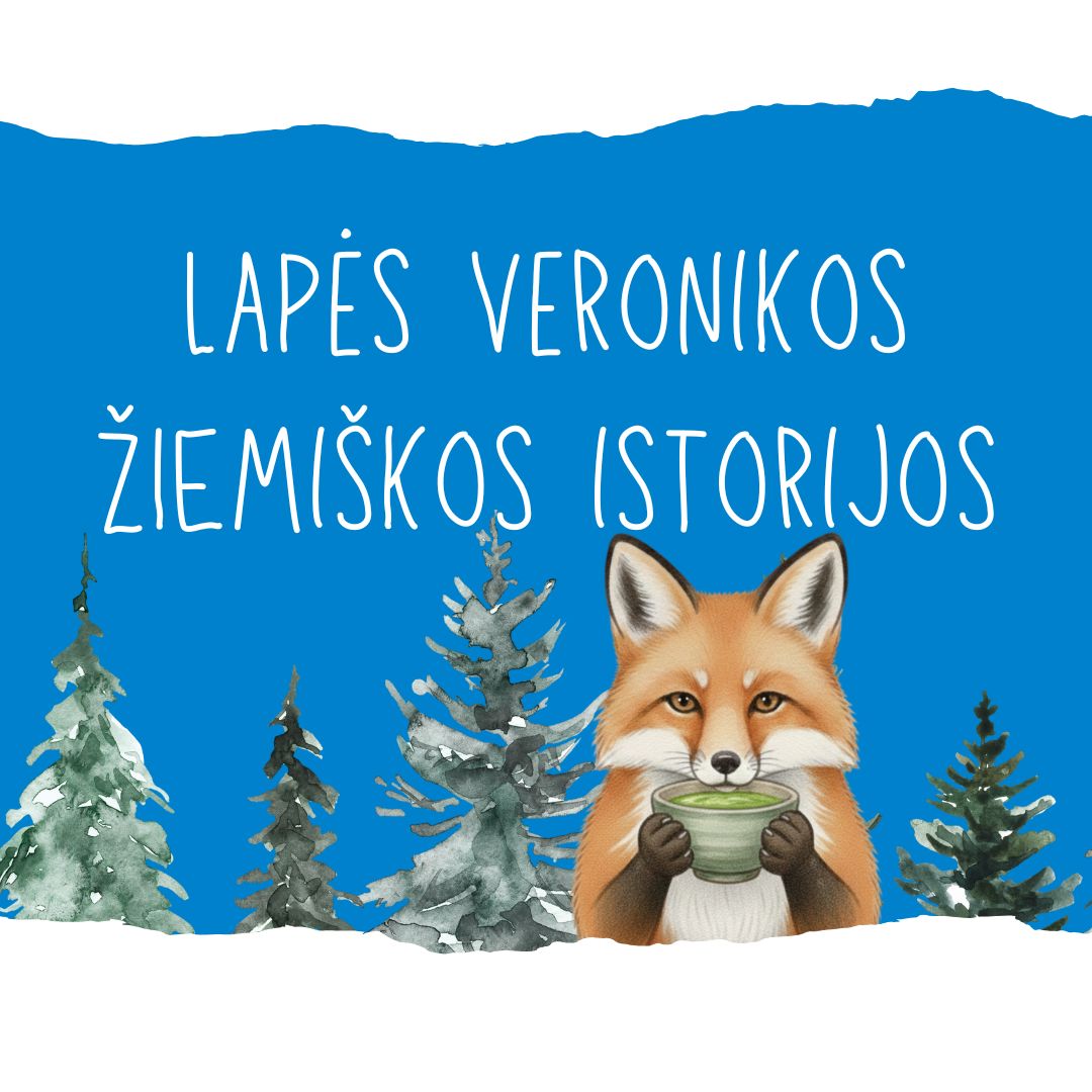 Lapės Veronikos žiemiškos istorijos - 12 16