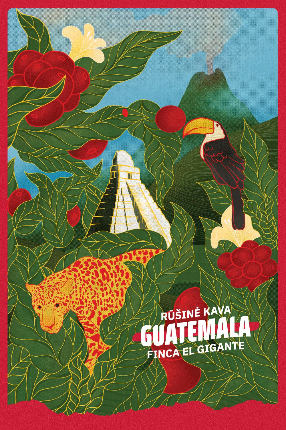 Naujiena rūšinės kavos malūnuose - GUATEMALA EL GIGANTE