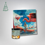 Dovanų rinkinys: RŪTA drąžė 120 g ir kava 200 g VERO CAFE Traškūs migdolai su baltuoju šokoladu „Žara" 120 g Flamingas 200 g Malta